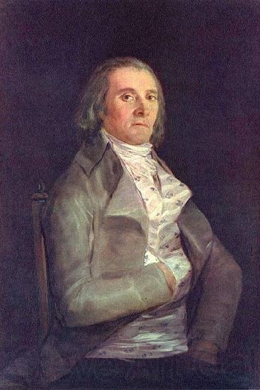 Francisco de Goya Retrato del doctor Peral Norge oil painting art